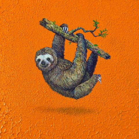 sloth "float" (S0)