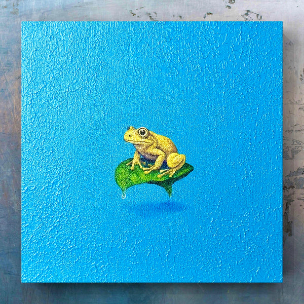 Golden Tree Frog and Leaf “float” (S0) – ZiNART STORE