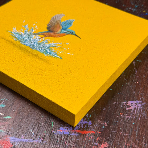 Humming bird "float" (S0)