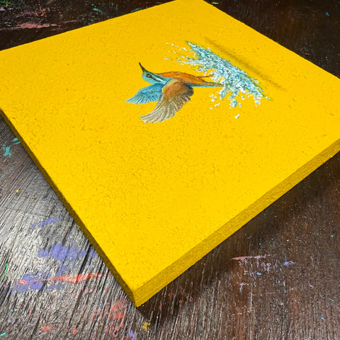 Humming bird "float" (S0)