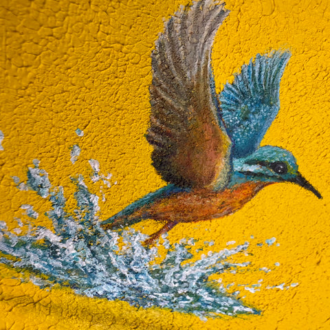 Humming bird "float" (S0)