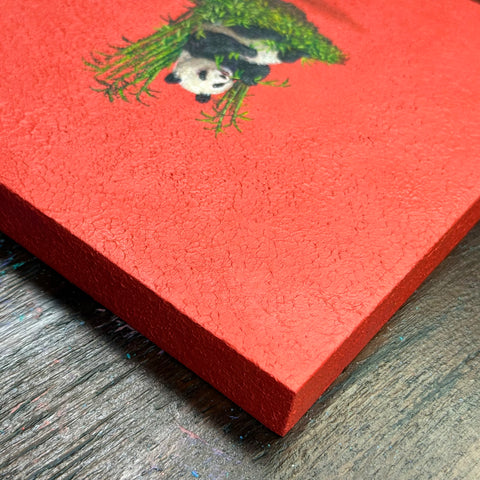 Giant Panda "float"(S0)