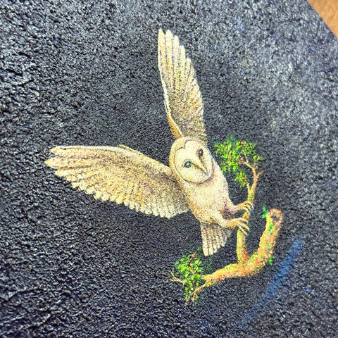 Barn Owl "float" (S0)(S0)