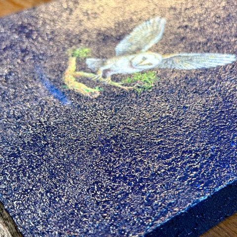 Barn Owl "float" (S0)(S0)