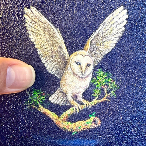 Barn Owl "float" (S0)(S0)