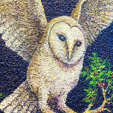 Barn Owl "float" (S0)(S0)