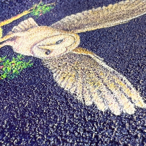 Barn Owl "float" (S0)(S0)