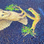 Barn Owl "float" (S0)(S0)