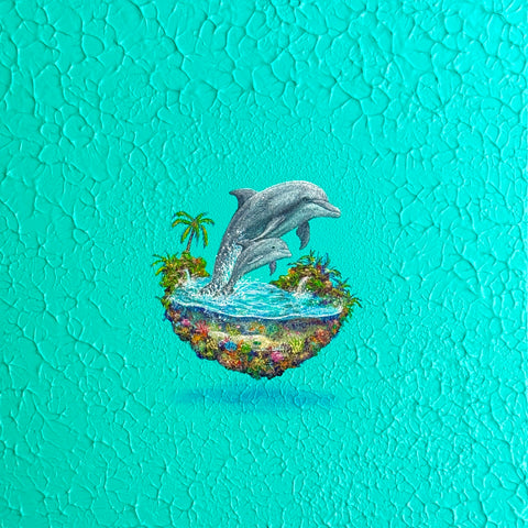 Dolphin Mother and Calf  "float" (S0)