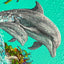 Dolphin Mother and Calf  "float" (S0)