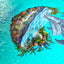 Dolphin Mother and Calf  "float" (S0)