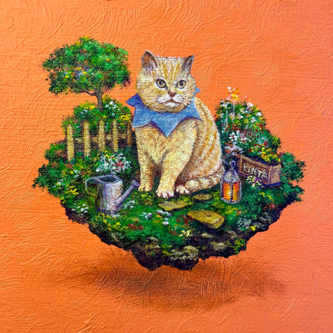 kinta cat "float" (S0)