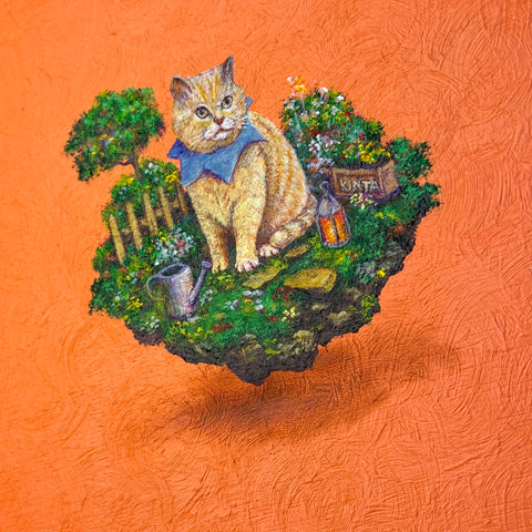 kinta cat "float" (S0)