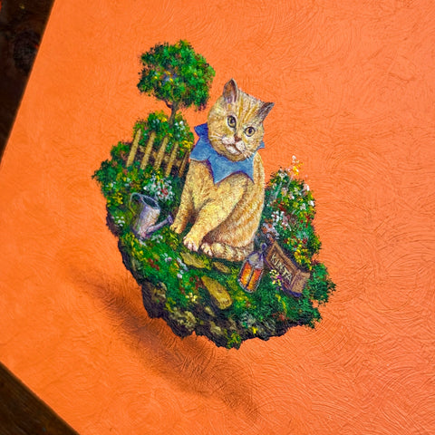 kinta cat "float" (S0)