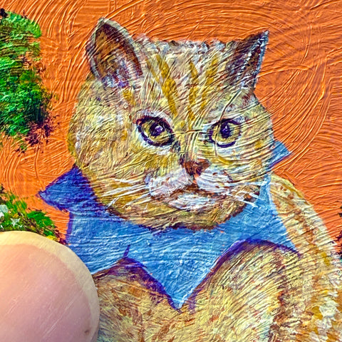 kinta cat "float" (S0)