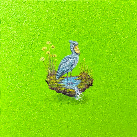 Shoebill "float" (S0)