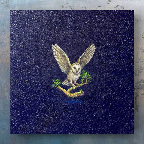 Barn Owl "float" (S0)(S0)