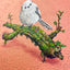 Long tailed Tit "float" (S0)