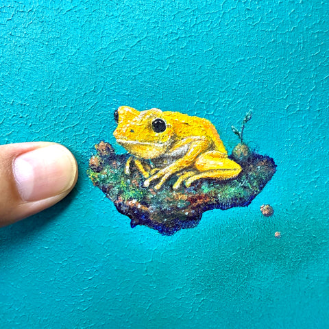 Golden Poison Dart Frog "float" (S0)