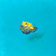 Golden Poison Dart Frog "float" (S0)