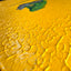 Green Iguana "float"(S0)
