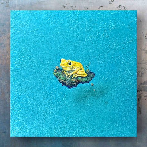 Golden Poison Dart Frog "float" (S0)