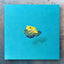 Golden Poison Dart Frog "float" (S0)