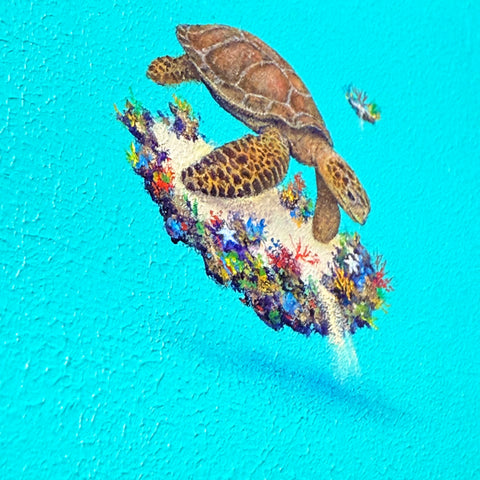 Sea turtle 002 "float"(S0)