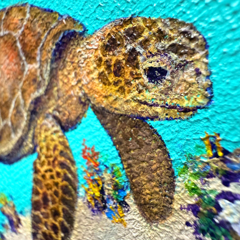 Sea turtle 002 "float"(S0)