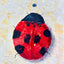 Lady bug Red 001 (F6)
